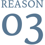 REASON 03