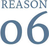 REASON 06