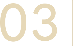 03