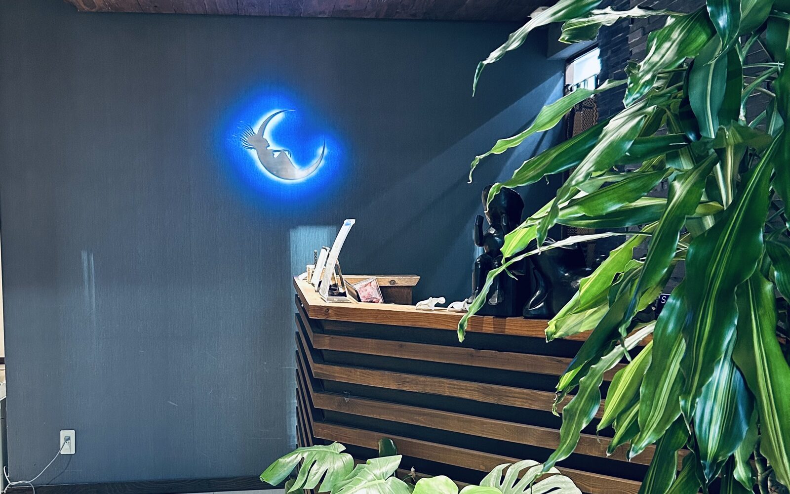 リピート率90％！冷えと更年期に悩む女性を救う「unitoモリンガスチーム」がサロンの生産性を劇的に変えた理由