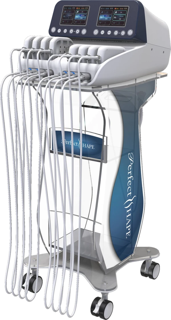 Perfect SHAPE 本体