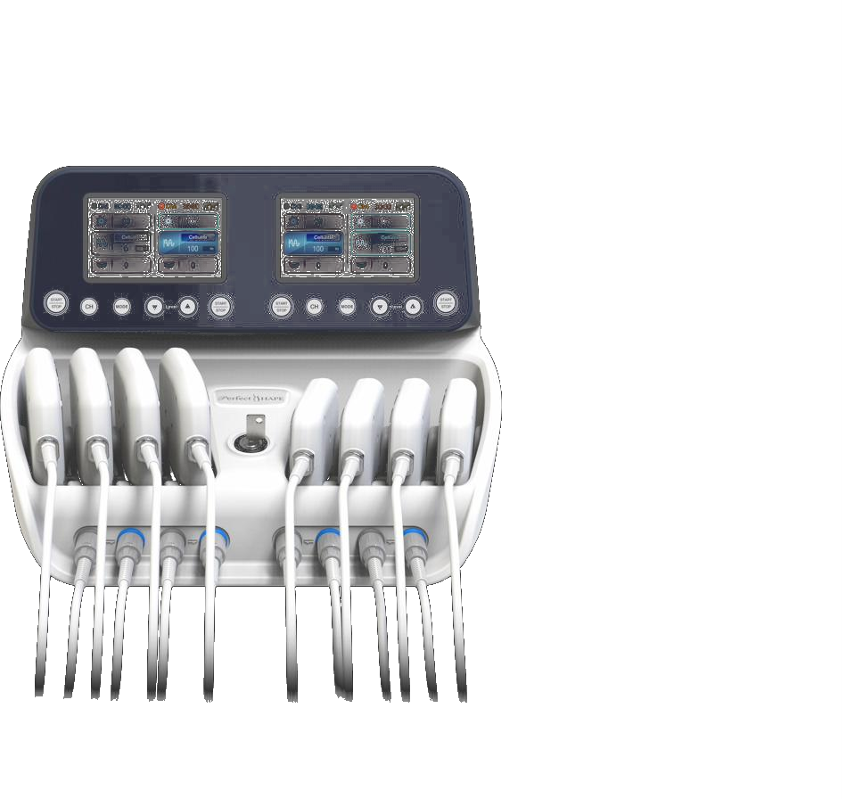 Perfect SHAPE 本体